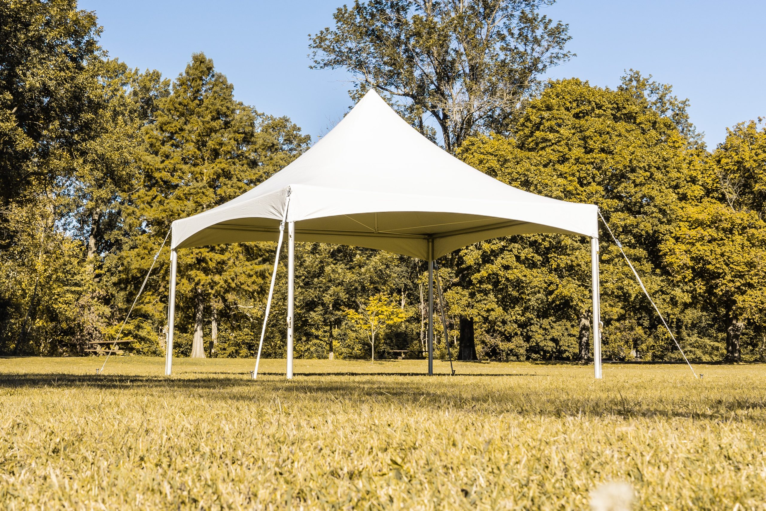 Tent-Frame-F3HP-15X15-IMG2