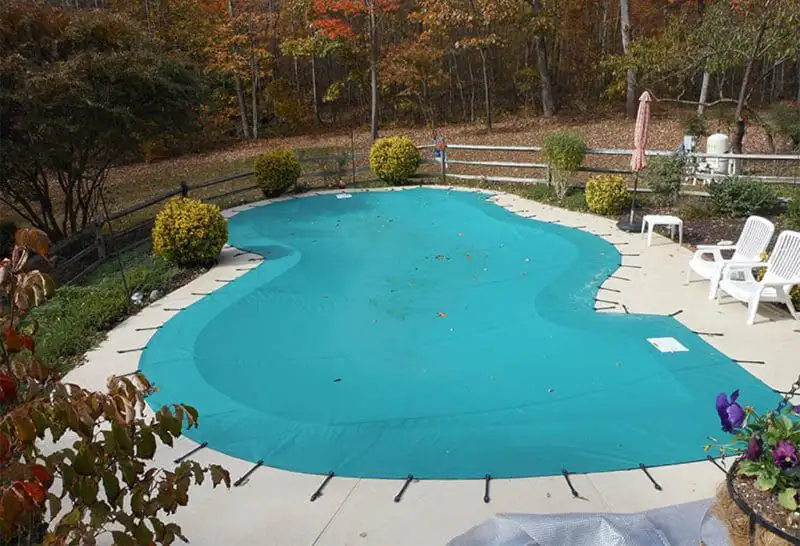 Backyard swimming pool filled with clear blue water surrounded by stone pavers.